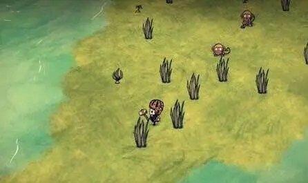 饥荒手游下载-饥荒手游海滩下载