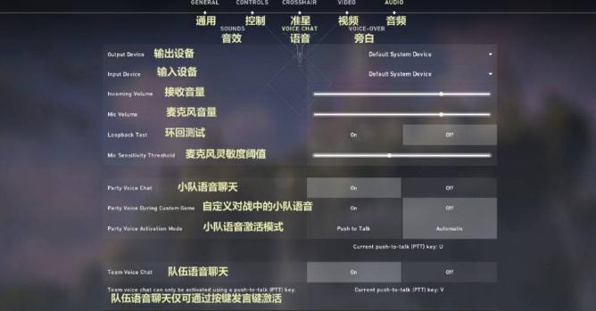 使命召唤16怎么设置中文?设置使命召唤16为中文的方法