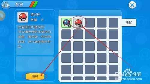如何捕捉精灵宝可梦6
