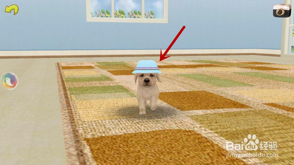 心动小狗如何让小狗过来、抱抱、站立