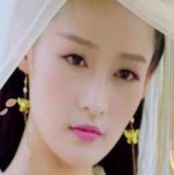 香蜜沉沉尽兮皇2