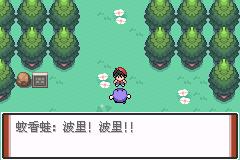 口袋妖怪特别篇赤汉化版