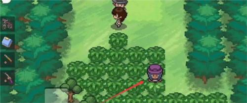 pokemmo怎么进入华蓝洞窟2