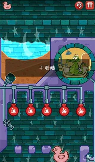 小鳄鱼爱洗澡图片31