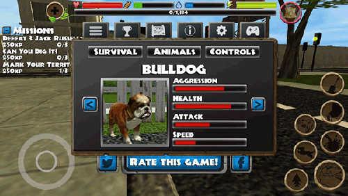 流浪狗模拟器什么狗最好推荐