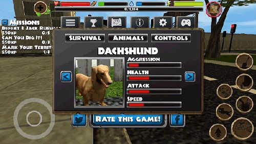 流浪狗模拟器什么狗最好推荐2