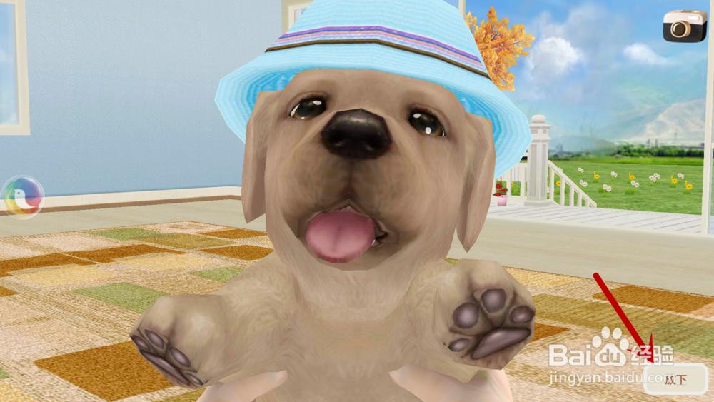 心动小狗如何让小狗过来、抱抱、站立