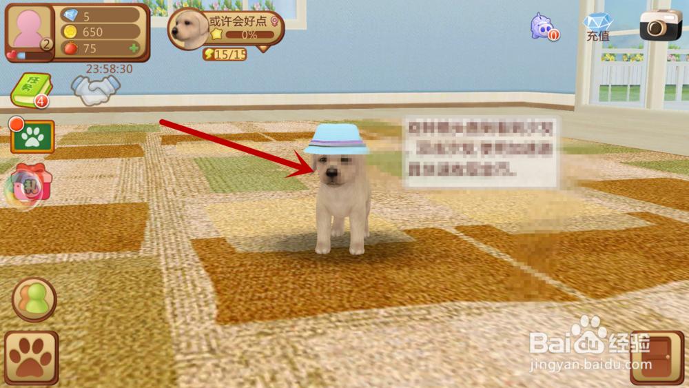 心动小狗如何让小狗过来、抱抱、站立