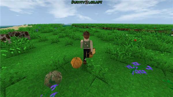 生存战争2连锁挖矿加连锁砍树版游戏攻略4