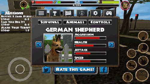 流浪狗模拟器什么狗最好推荐5