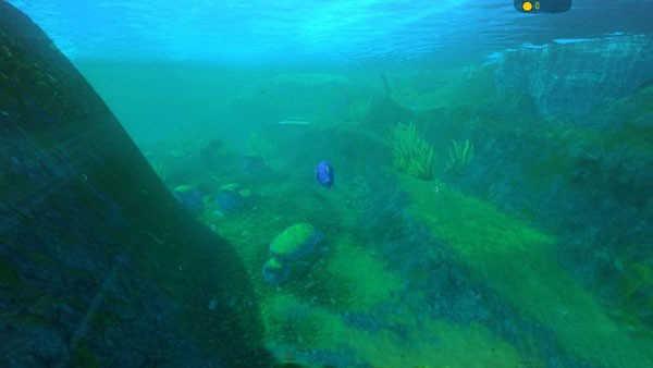 海底大猎杀地图介绍