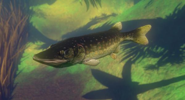 海底大猎杀steam中文下载-steam海底大猎杀手机版下载