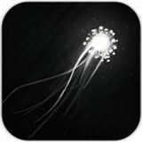 生命之潮（Waves Of Life）