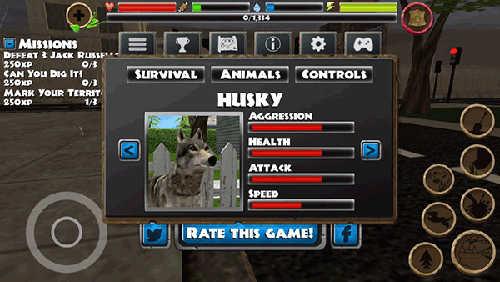 流浪狗模拟器什么狗最好推荐7