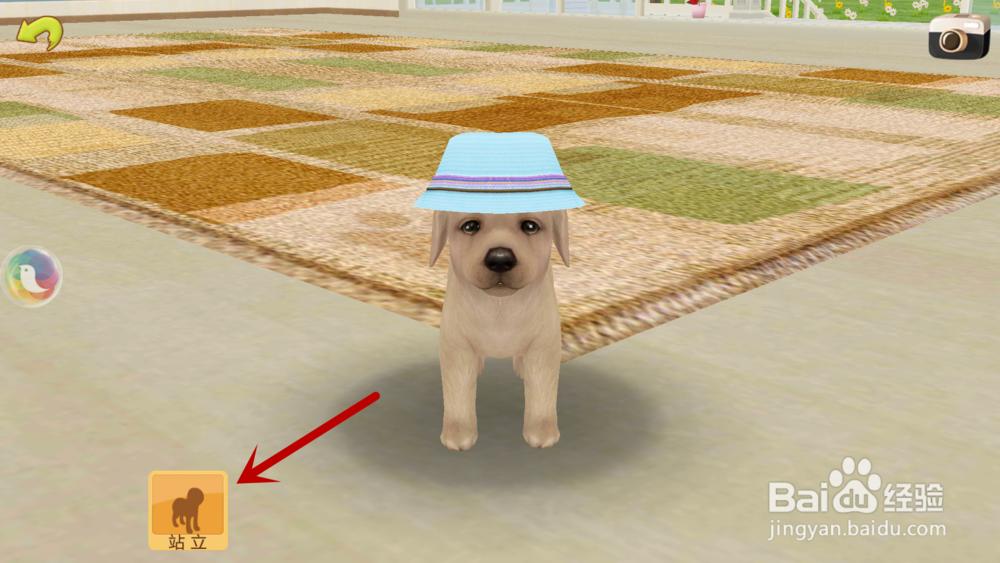 心动小狗如何让小狗过来、抱抱、站立