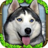 流浪狗模拟器(Stray Dog Sim)