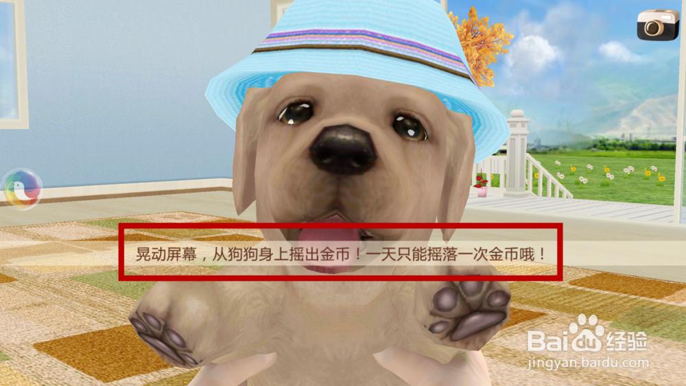 心动小狗如何让小狗过来、抱抱、站立