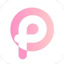 pp浏览器安卓版