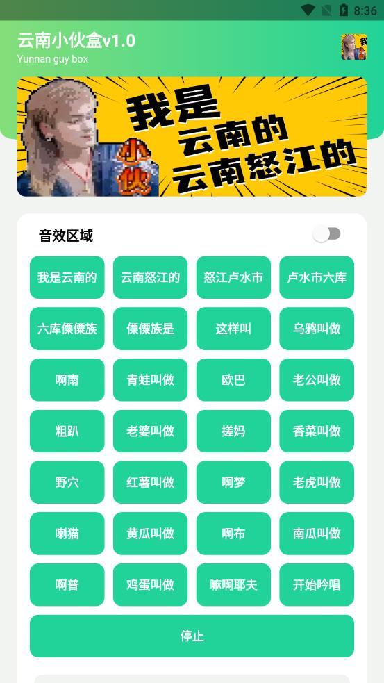 云南小伙盒1.0他是云南的,云南怒江的.apk截图2