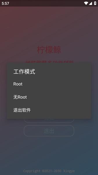 柠檬鲸框架脚本截图3
