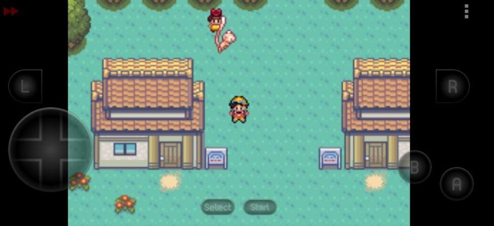 口袋妖怪Mega觉醒之光金手指作弊码中文下载截图1