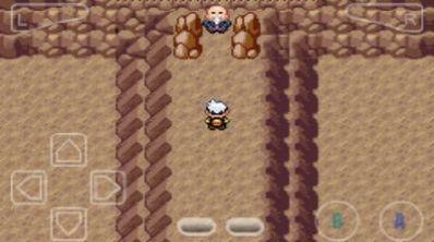  口袋妖怪究极智娜1.8游戏随机版截图0