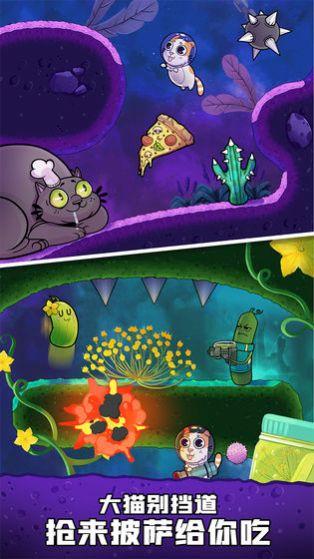  嘭嘭火箭猫官方截图3