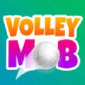 排球暴徒官方中文版游戏