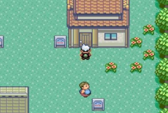 口袋妖怪究极绿宝石5官方下载2022正版截图3