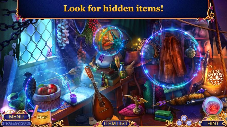 魔法王国诅咒游戏中文版截图2