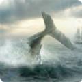 白鲸记狩猎中文版游戏下载（MobyDick）