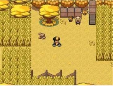 宝可梦九重天游戏汉化最新版截图1