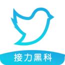 飞鸟下载器最新版