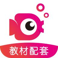 鲤鱼辅导app最新版