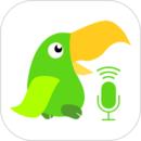 英语趣配音2025下载