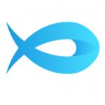 飞鱼网2025下载安装