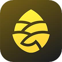 松果出行最新版app