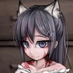 希尔微奴隶冷狐3.0