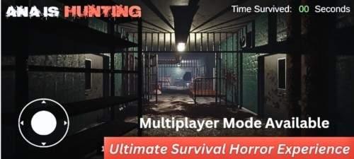 安娜的诅咒最新版2024