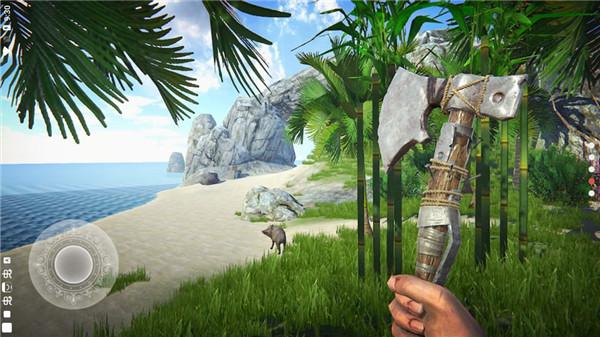 最后的海盗岛屿生存下载