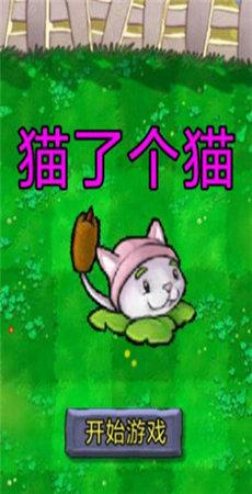 猫了个猫截图1