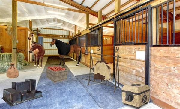 逃出乡村复古别墅截图0