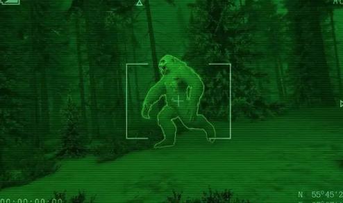 大猩猩怪物游戏