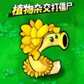植物变异打僵尸