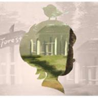 青鸟镇游戏(Blue Town)