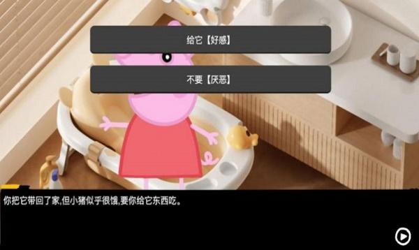小猪的午夜后宫游戏
