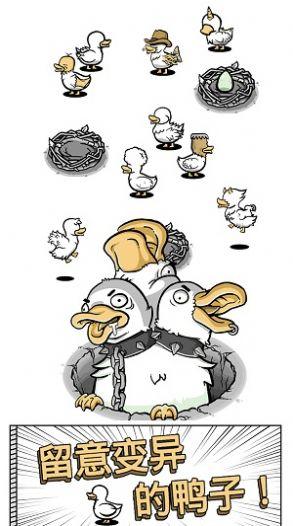 奇怪的鸭子2游戏