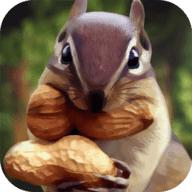 松鼠模拟器完整版