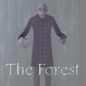 兰德里纳河的森林雪天