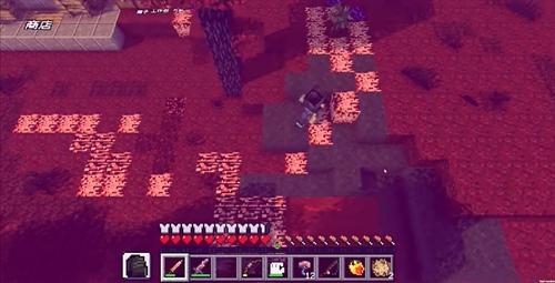 植物大战泰拉世界游戏